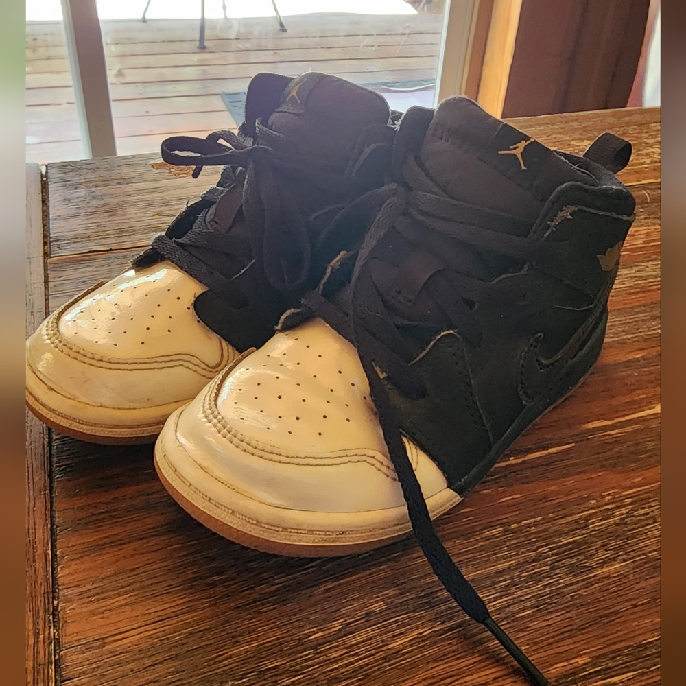 Nike Air Jordan 10 Basketball Sneaker